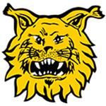 ILVES RY - TAMPERE